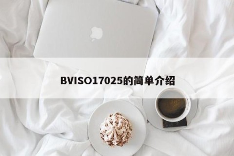 BVISO17025的简单介绍