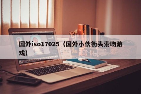 国外iso17025（国外小伙街头索吻游戏）