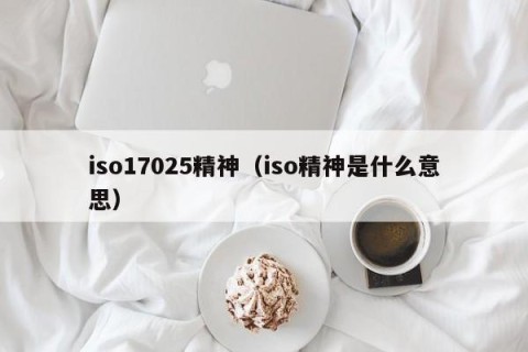iso17025精神（iso精神是什么意思）