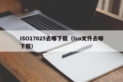 ISO17025去哪下载（iso文件去哪下载）