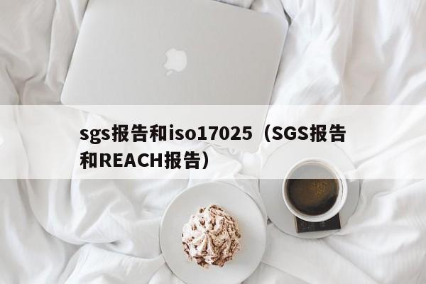 sgs报告和iso17025(SGS报告和REACH报告)
